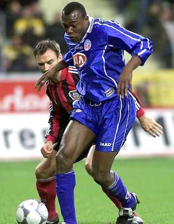 岁前国脚梅 岁前国脚梅